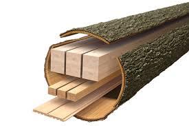 Timber