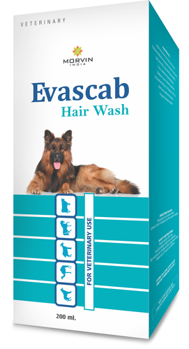 Pet Shampoo