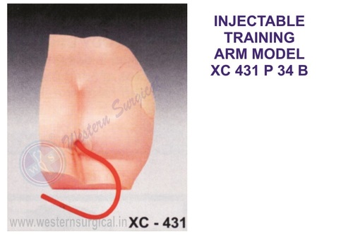 Buttock Injection Model