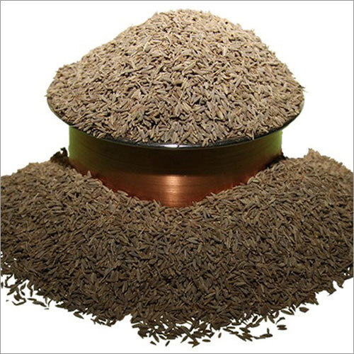 Cumin Seeds Supplier
