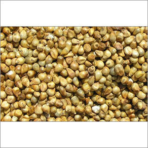 Millet Exporter