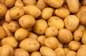 Fresh Potatoes