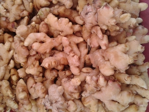 Organic Ginger