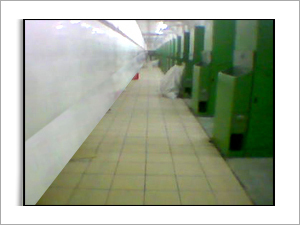 Acid Resistant Mastic Lining