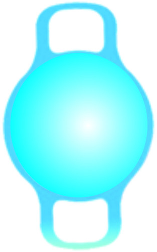 Intraocular Lens