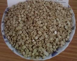 Fertilizer & Water Soluble Fertilizer