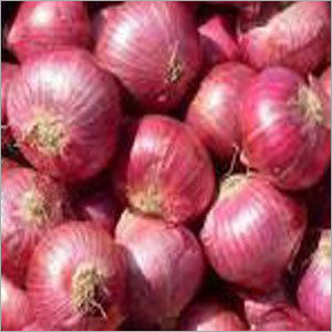 Fresh Onion