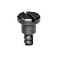 Slotted Thumb Screws