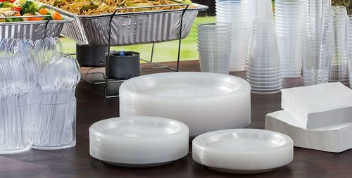 Disposable Plates and Bowls Disposable Plates and Bowls