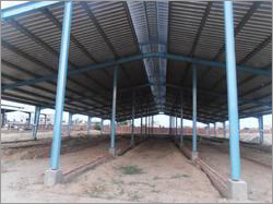 Dairy Farm Shed
