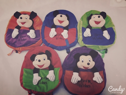 Mickey Mouse Bag