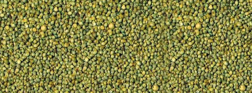 Green Millet