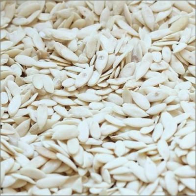 Cucumber Seeds