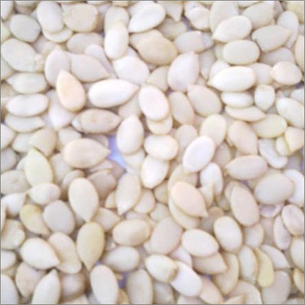 Watermelon Seeds