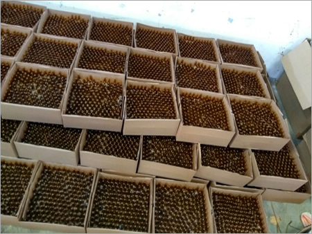 Bio Insecticide Ampoule Packaging Services