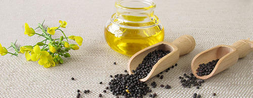 Rapeseed Loose Oil