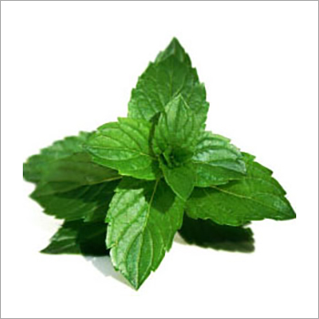 Menthone