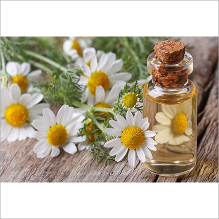 Chamomile Oil Rome
