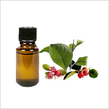 Wintergreen Oil