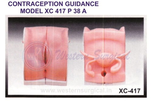 Contraception Guidance Model