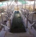 Milking Parlour