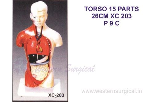 Torso 15 parts 26 CM