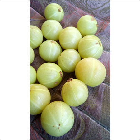 Fresh Amla