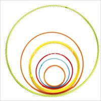 Oil Seal Spring