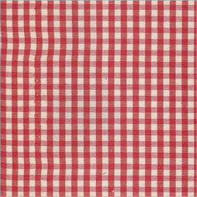 Red Check Fabric