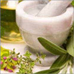 Cajuput Oil Cas No: 8008-98-8