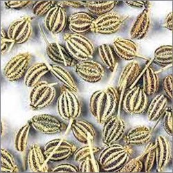 Ajowan Oil