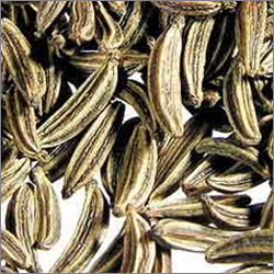 Caraway Oil