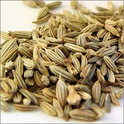 Pale Yellow Fennel Seed Oil