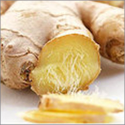 Ginger Oil