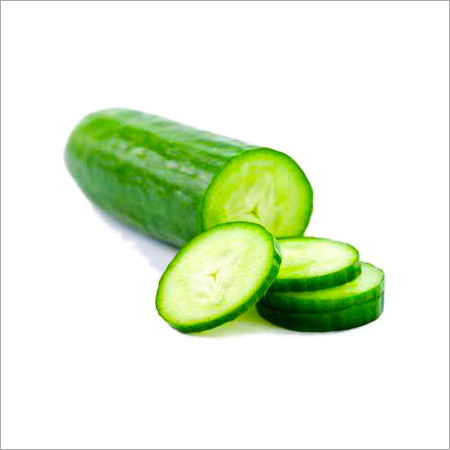 Fresh Cucumber