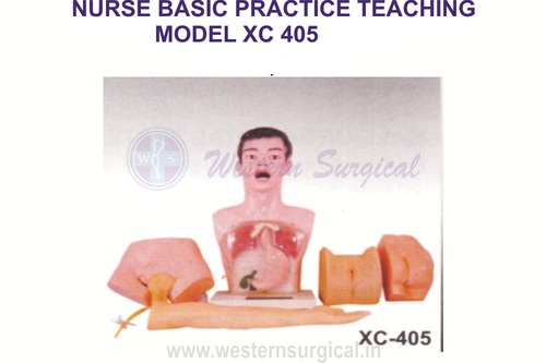Nurse Basic Practice Teaching Model