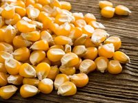 Yellow Corn Animal Feed Admixture (%): 1%