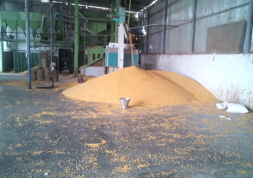 Yellow Maize Bird Feed