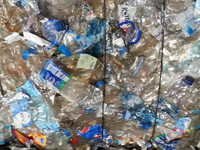 Recycled Pet Granules - Baled Waste With Very Low Impurities, Near Clear Color, Less Than 2% Moisture