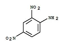 2,4 DNA