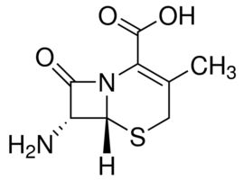 7-Aminodesacetoxycephalosporanic acid