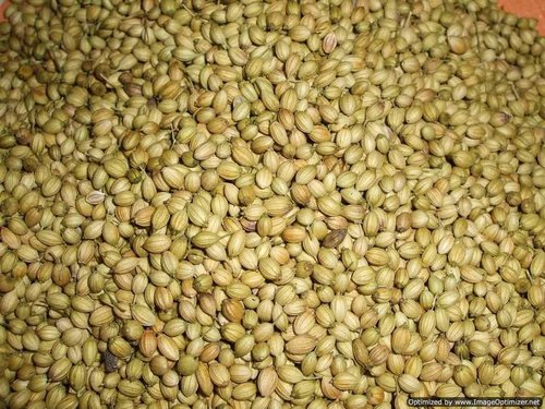 Coriander Seeds