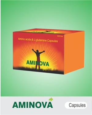 AMINOVA Capsule - 18 Amino Acids, L-Glutamine 20 mg, Selenium 75 mcg | Supports Pregnancy, Lactation, Growing Children, Geriatrics