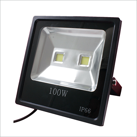 Halogen Flood Light
