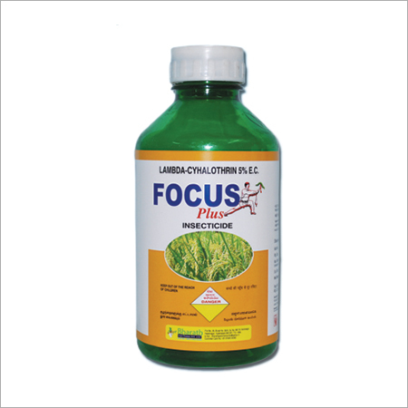 Focus
