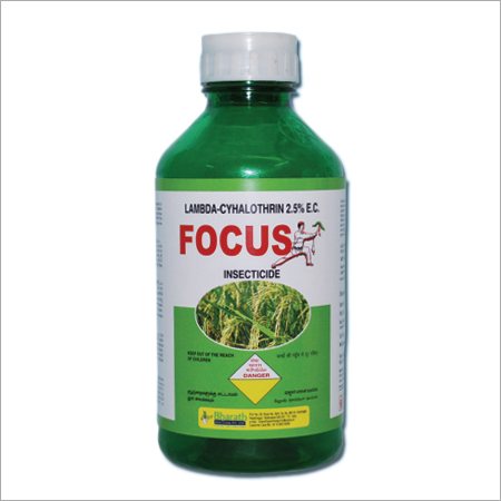 Focus