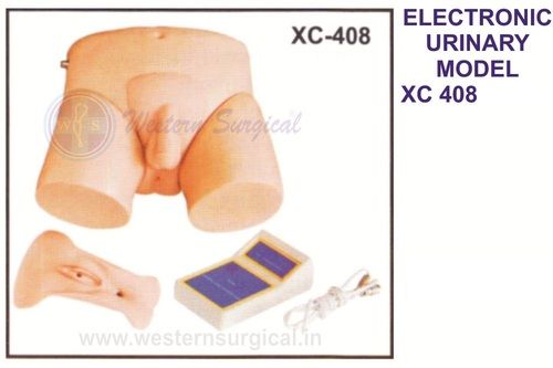 Electronic Urinary Model