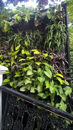 Landscaping Service Vertical Paneling