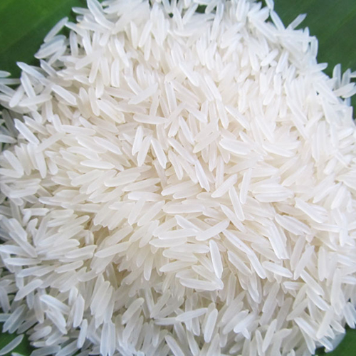 1121 Sella Rice