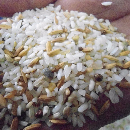 Rejection Rice